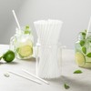 Basic Nature 8.3 Inch Compostable Straws, 100 Disposable Straws -