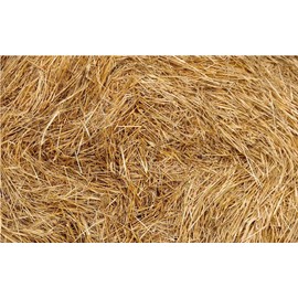 Organic Wheat Straw - 100% Natural Wheat Straw Ideal for Gardening, Decor, Animal Bedding and Eco-Friendly Projects (1, 8 Pounds)