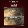 L'Oréal Paris - Shampoo Elvive L'Oreal Paris Antifall, con Aminexil