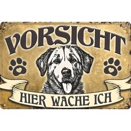 30 x 20 cm Weatherproof Dog Tin Sign, Warning Sign, Gate Sign, Colour Gold, Caution - Hier Wache ich! (Golden Retriever)
