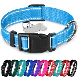 TECEUM Reflective Pet Collar – Sky Blue – XS – Basic Nylon Dog Collar – Quick Release Buckle – Fits Small, Medium and Large Dogs, Puppies, Cats – ESA & Service Dog Options