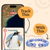 Fahlo Penguin Tracking Bracelet – Track a Real Penguin’s Journey