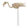 Crazy Bonez Flamingo