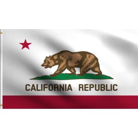 DMSE California State The Bear Flag Flag 2X3 Ft Foot 100% Polyester 100D Flag UV Resistant (2' X 3' Ft Foot)