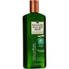 Thicker Fuller Hair Revitalizing Shampoo, 12 Ounce