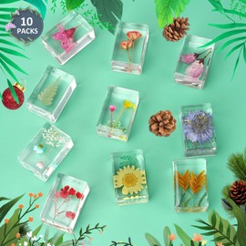 10 piezas de flores en resina para muestras de flores prensadas para pisapapeles de flores en resina, colección de muestras para computadora, muestras de flores reales, pesos de papel para