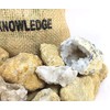 40 Break Your Own Geodes Crystals Bulk Pack - Whole