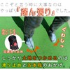 Gutsman 5 Toe Socks for Golf (9.1 - 9.8 inches