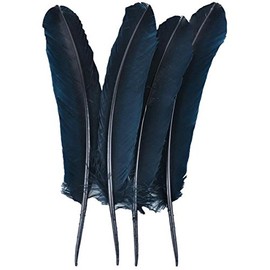 Touch of Nature 40365 4-Piece Turkey Feather for Art and Craft, 12.25 to 13-Inch, Black