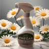 Generic Cleaning Vinegar - 1 Pack, Multi-Purpose Cleaner, Natural &