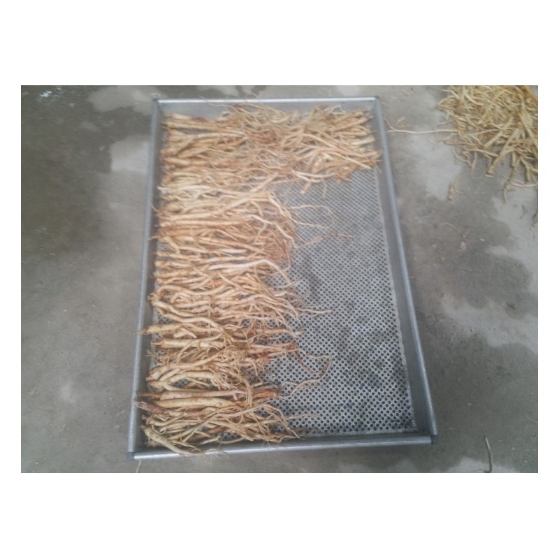 100g Pihwanggi, white-boiled ingredients, Gyeongbuk Yeongju Sliced ​​Pihwanggi 100g /