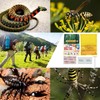 Snake Bite Kit, Bee Sting Kit, Emergency First Aid Supplies,