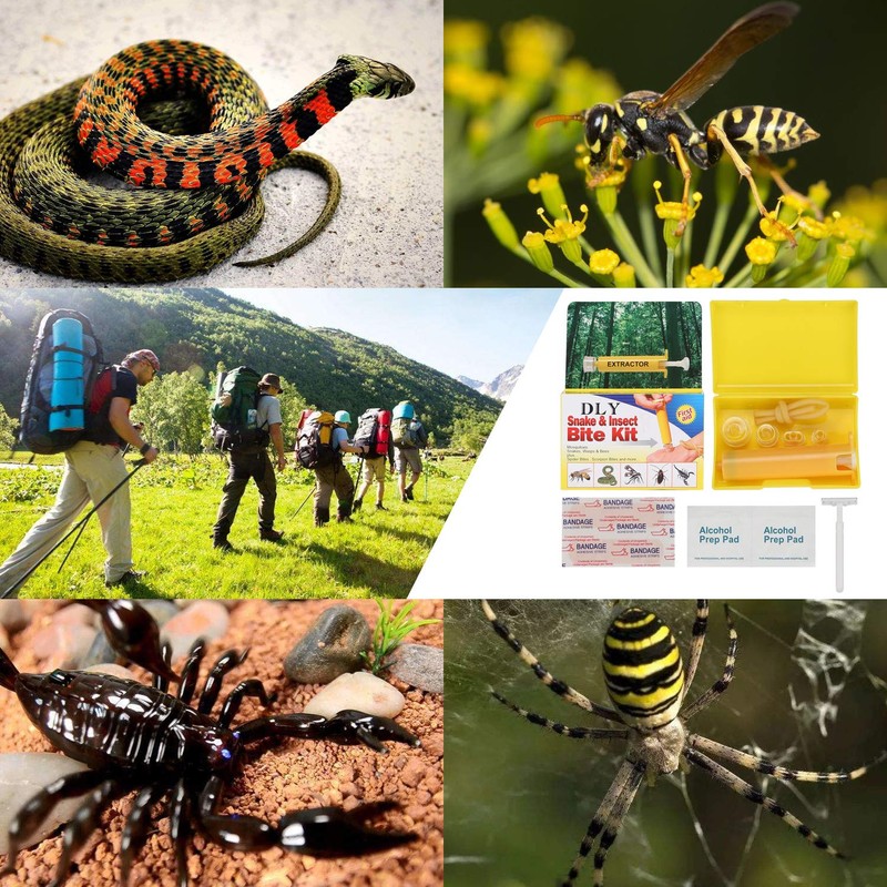 Snake Bite Kit, Bee Sting Kit, Emergency First Aid Supplies,