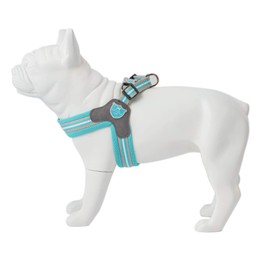HUGO & HUDSON Easy Walk Dog Harness Adjustable No-Pull Step-in Training Vest, Aqua, Size 7