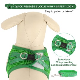 YIMEIS Dog Harness and Leash Set, No Pull Soft Mesh Pet Harness, Reflective Adjustable Puppy Vest for Small Medium Large Dogs, Cats (Green, Small (Pack of 1)