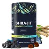 100% Shilajit Gummy Platinum-Shilajit Gummies, Pure Himalayan Platinum Shilajit 3000mg