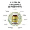 Megabiotic Probióticos Billones Cepas Días Prebióticos Inulina Agave Lactobacilos Aloe