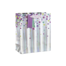Silver Holographic Gift Bag with Stars and Tag Birthday Occassions (Medium)