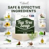 Erbaid Tea Tree Soap - Natural Acne-Fighting Cleanser