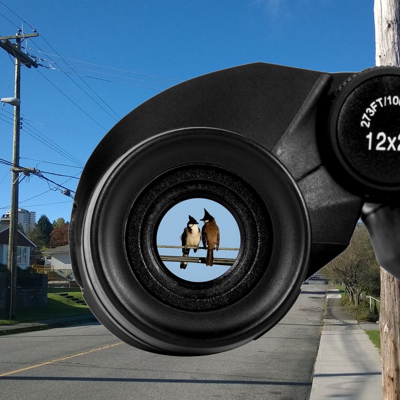 Occer 12x25 Compact Kids Binoculars with Low Light Night Vision,Folding