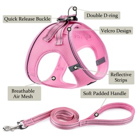 BOOMIBOO Dog Harness with Leash Set, No Pull Adjustable Reflective Step-in Puppy Pet Vest Harnesses for Small Medium Large Dogs and Cats,Pink XXS