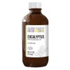 Aura Cacia Eucalyptus (globulus) Essential Oil 4 fl. oz.