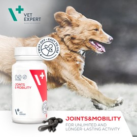 Vet Expert Joints & Mobility Supplement for Dogs and Cats – Supports healthy joints with Glucosamine, Chondroitin, Hyaluronic Acid, Vitamins C & E, and Manganese – 30 Twist-Off Capsules