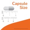 NOW L-Carnitine 500mg, 180 Veg Capsules