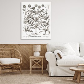 Stupell Industries Scientific Vintage Flowers Canvas Wall Art Design by Lettered and Lined