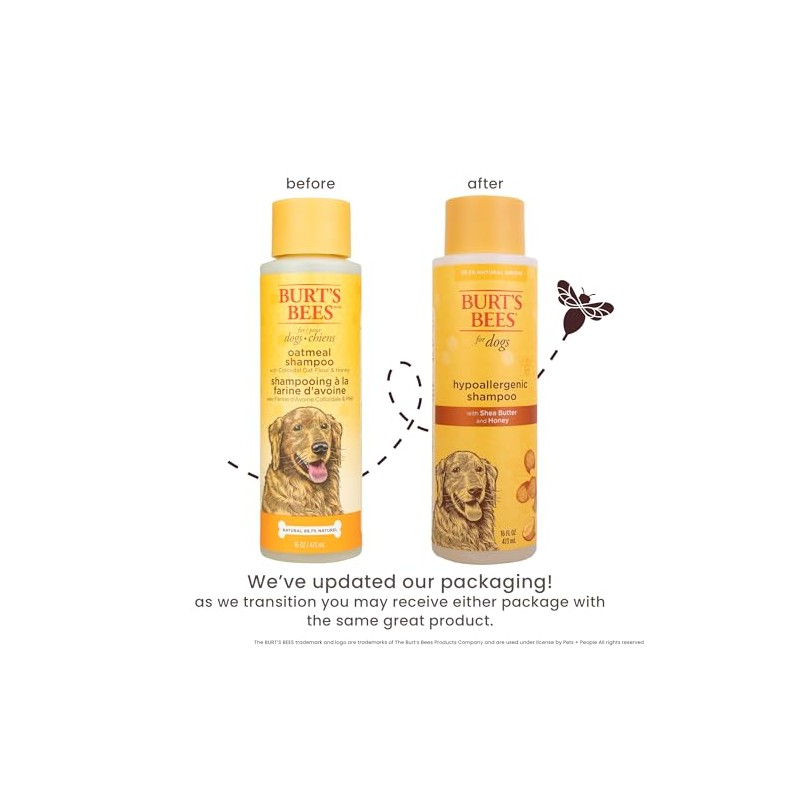 Burts Bee Hypoallergenic Shampoo, 16-Ounce