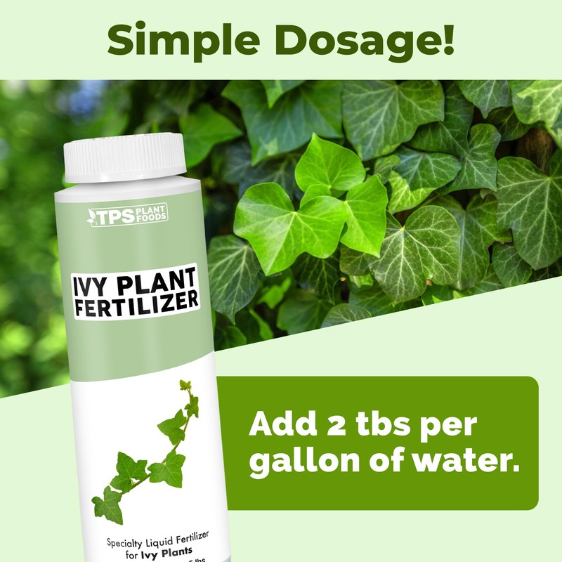 Ivy Plant Food, Complete Liquid Ivy and Vine Plant Ferilizer,