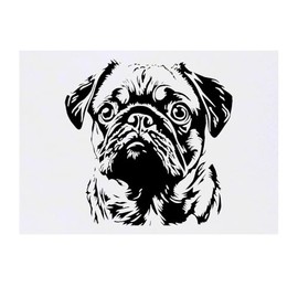 'Pug Portrait' Temporary Tattoo - Water Resistant, Skin-Safe, Non-Toxic Transfer (TO00082769)