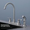 Kitchen Faucet with Side Sprayer, Brushed Nickel 2-Handle Faucet for