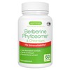 Igennus Advanced Berberine Phytosome 550mg & Chromium Picolinate,10x Absorption, Super