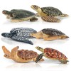 TOYMANY Set of 6 Turtle Figurines Realistic Turtle Animal Figures