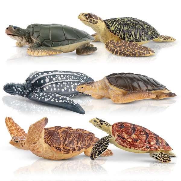 TOYMANY Set of 6 Turtle Figurines Realistic Turtle Animal Figures