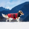 Traje de algodón para Perro,Abrigos Chamarras para Perro Grandes Medianos