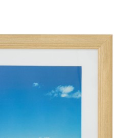 FUJICOLOR YM-3 Series Picture Frame