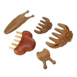 Meridian Massage Tool Kit Wood 3pcs Meridian Comb 2pcs Nose Scraping Comb Wide Tooth Static Free Gua Sha Scraping Tool Set