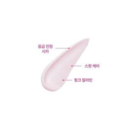 Rovectin Cica Care Spot Balm 40ml / 로벡틴 시카케어 스팟 밤 40ml