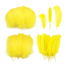 300 Pieces Yellow Feathers, Craft Feathers, Feather Craft, Natural Feathers, Feather Decorations, which can be used to make clothing accessories, headwear and furniture decorations, etc.
