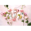 TOCCA (トッカビューティー) Boxed Gift of Scent-Loving Hand Cream with the