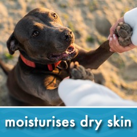 Pike's Pouches Coconut Oil for Dogs & Cats Liquid UK 200ml - Itchy Skin Relief | Moisturiser for Dry Skin and Coat | Nose & Snout Soother | Natural Remedy for Itchy Paws | Suitable for Puppy Fur