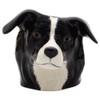 Quail Ceramics - Border Collie Face Egg Cup