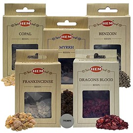 Resin Incense Variety Pack Frankincense Myrrh Dragon's Blood Benzoin Copal with Steel Mesh Bundle