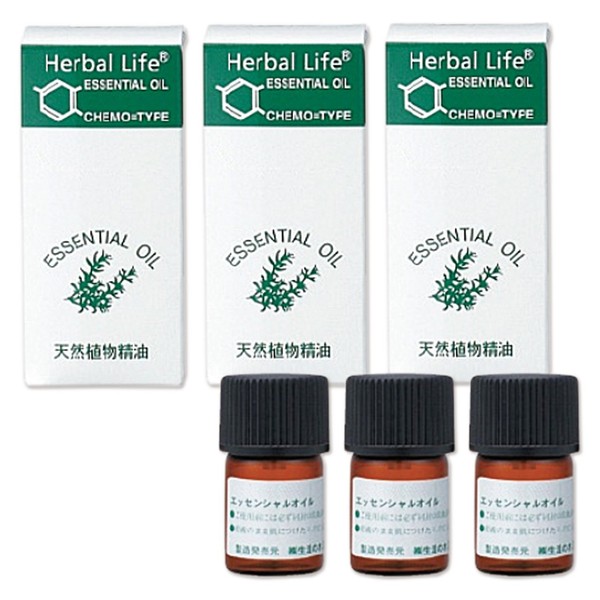 Life Tree Aroma Oil Essential Oil Set of 3 (Grapefruit, Rosemary, Cineol, Peppermint, 0.1 fl oz (3 ml) (Assort 3), Essential Oils, AEAJ Labeling Standards Compliant Certified Essential Oils
