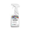 Rain Guard Paint Sealer Spray 16 oz | Ready to