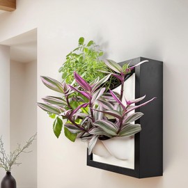 Awesome Plant Wall Garden 4 Vertical Wall Planter, 4 Pots Wood Frame Self Watering Living Planter for Home Office Decor, Wall-Mounted Planter for Indoor Houseplants (Black)