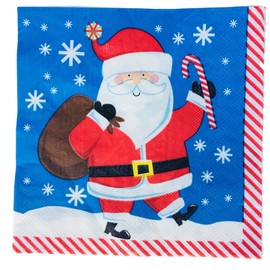 Holiday Christmas Santa Party Supplies, Serves 18 people (includes 18 large paper plates, and 20 party napkins)