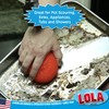 Lola Products Heavy Duty Plastic Mesh Scourers - 3.75" x
